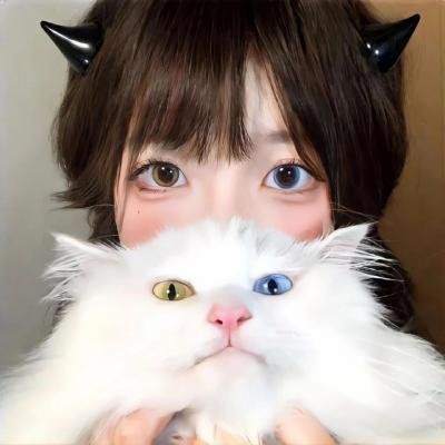 猫2020